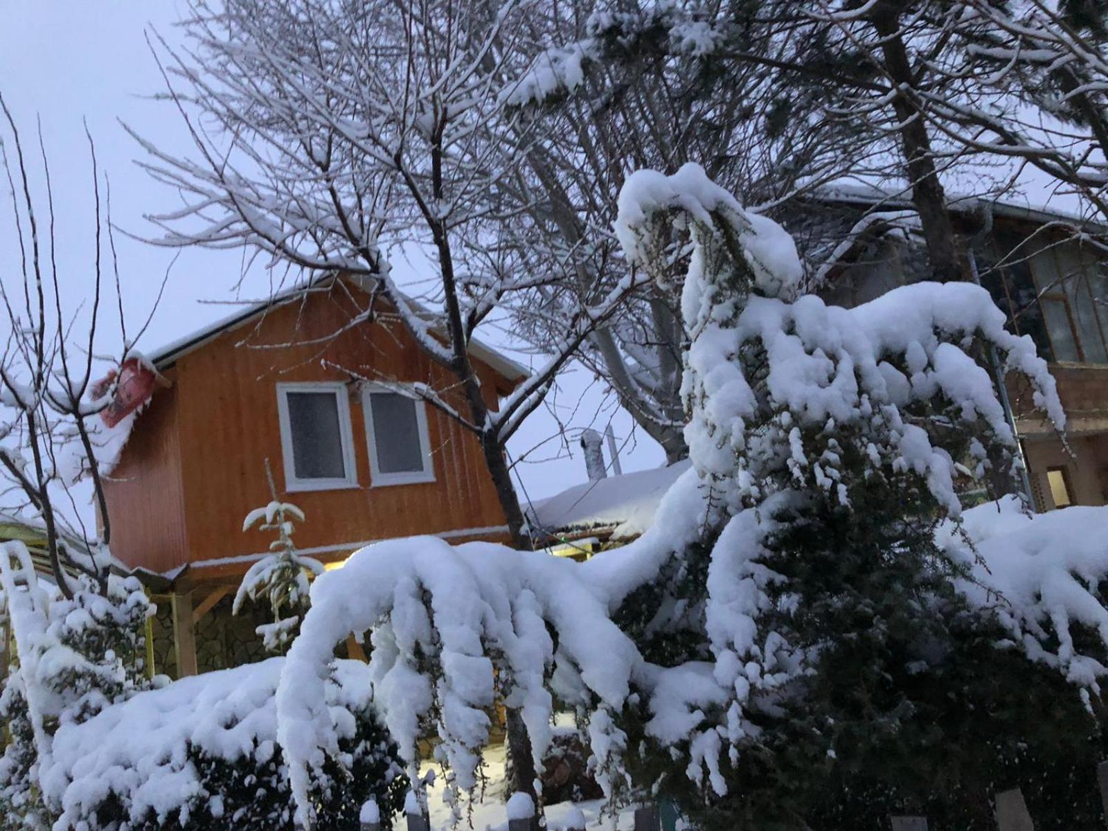Bujtina Gashi Guest House Kukes Eksteriør bilde